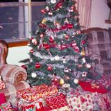 Christmas 1983 at Christmas 2022