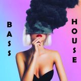 BASS HOUSE #14