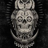 Eulen Aus Chrom Mixcloud