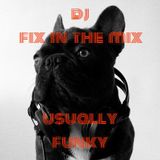 DJ Fix in the Mix
