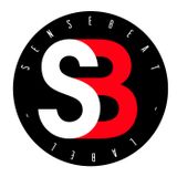 SENSEBEAT 037 JOSE VILCHES - ENTREVISTA 2-12-11.mp3
