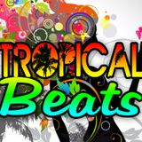 Tropical Beats Brasil Carnival Vibestarter - Tropical Royalty Reprazent