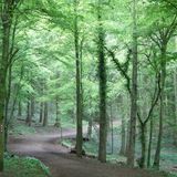 September Mix
