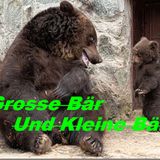 Grosse Bär und Kleine Bär - 3 - Oorlog in't Land!