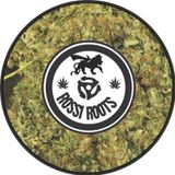 FUTURE ROOTS DUB MIX VOL 3