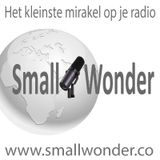 Small Wonder week 21 2018