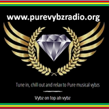 Pure Vybz Radio Org - Red Lion