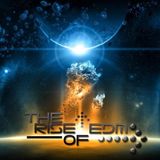 The Rise of EDM Volume 1 - Mantis - Cake Mix