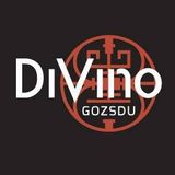 Zoohacker_DiVinoGozsdu - Chill House Instrumental Mix Vol.3