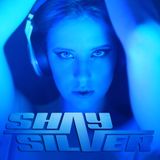 DJ Shay Silver 2013 Commercial Remixes - 2 Hours