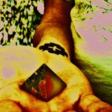 Mammalcast 13