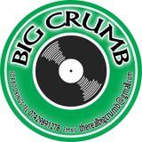 BiG CrUmB foundation reggae dancehall mix 100% vinyl live recording