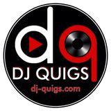 DJ Quigs TWERK Mix (You're A Dirty Little Birdie Mix)