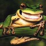 Frosch Gärtner @ Morgensonne