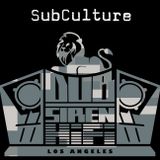 DubSiren HiFi Reggae Geeks Saturday Night Session 2-9-13 pt1