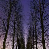 StarlitSkies_Oct3rd2011