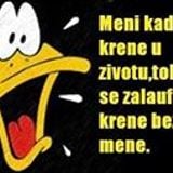 Djuric jelena ABOUT