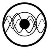 Electromagnetica - Carl craig , el musico de Detroit