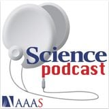 Science Podcast - Sleeping sickness, kids' science books, the GRAIL mission, and more (7 Dec 2012)
