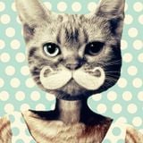 Deep House Set mixed by papaDion PD037