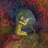 GOA PSYchedelic dj side mix sina salehi 2014 VOL