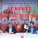 Tuáº¥n Anh Seoul S History Mixcloud