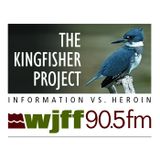 The Kingfisher Project