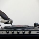 Mr Bird Edits Mix June 08