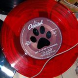 The Big Paws 7/3/09