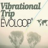 EvoLoop - Vibrational Trip 021 (20-05-2012)