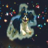Mystic Boogie