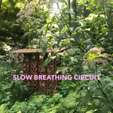 slow breathing circuit