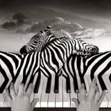 Ulconte / Set Mix / Fresh Life