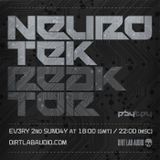Neurotek Reaktor 2013 # 15