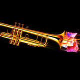 Sunday's Harmonic or Not So Harmonic Mix