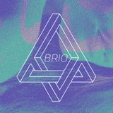 12.11 - That Brio Beat 2012 Finale