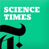 Your Brain’s GPS, Eating Like a Local (Monkey), Weakness in AIDS’s Armor
