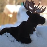 Midnight Vinyl Drive - December 28th