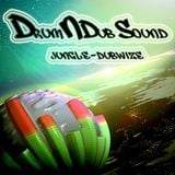 Drum&DubSound---Increase Your Intuition--2012