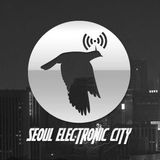 Seoul Electronic City