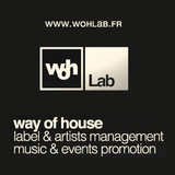 WOH Lab Podcast Joris Delacroix