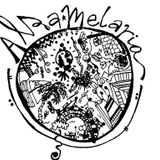 Alza 25/8/15 - Programa 20 - Temporada IV