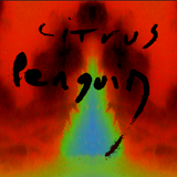 Tie Dyed Psych - Tie Dyed Flights Jam 3