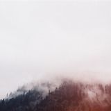 not until morning 75