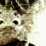 Circadian Tales #67 190313