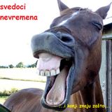 Svedoci Nevremena 28 - Kako je glupo biti lep