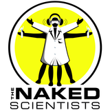 Naked Scientists 14.09.09 - Does nature do it better?