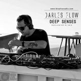 Darles Flow - Deep Senses