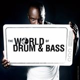 djss junglist mix 1994