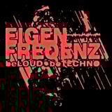 EigenfreQenz@ElectroidVision_U60311_15.11.12